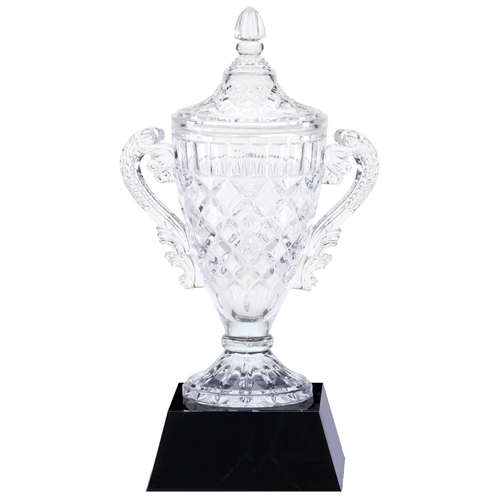 Crystal Cup Trophy Award Glass