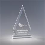 Vertex Acrylic Award