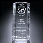 Capricorn Global Award