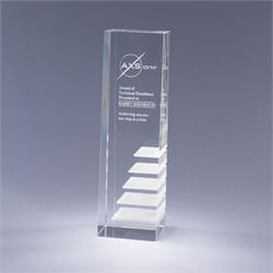 Steps To Success Award