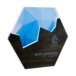 Hexagon Edge Puzzle Award