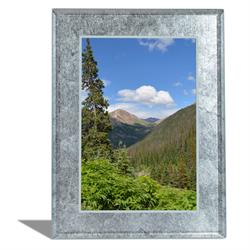 Silver Leaf Picture Frame